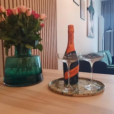 Strict Center 公寓 *